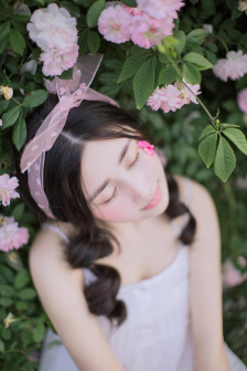 XL上司带翻译无马赛樱花